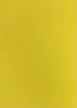 240G TECHNO CREPE STRETCHED KNIT<br><h6>11MA-YELLOW BRT<br>201CRP-TECHNO</h6>