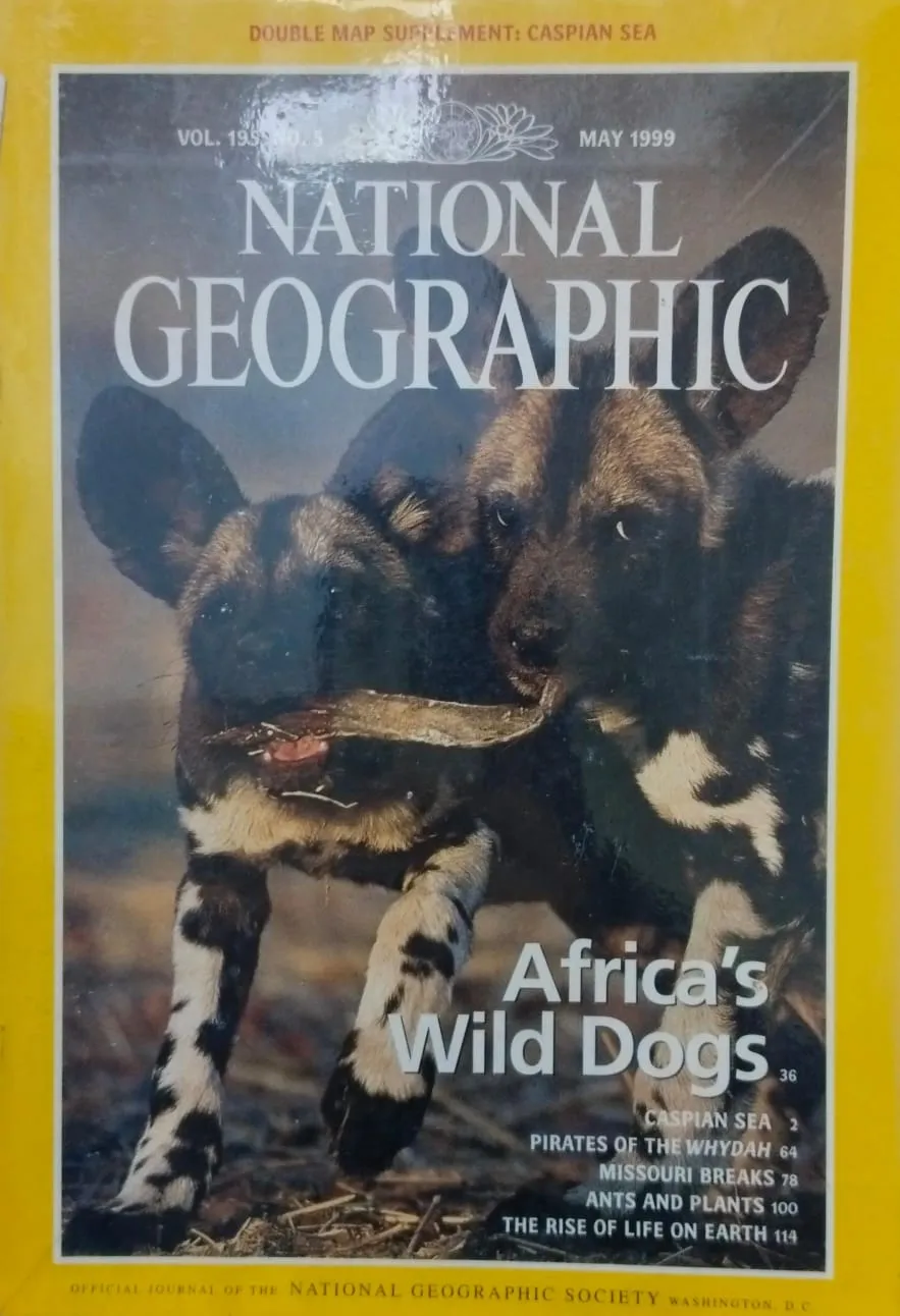 Africa's wild dogs [national geographic][rare books]
