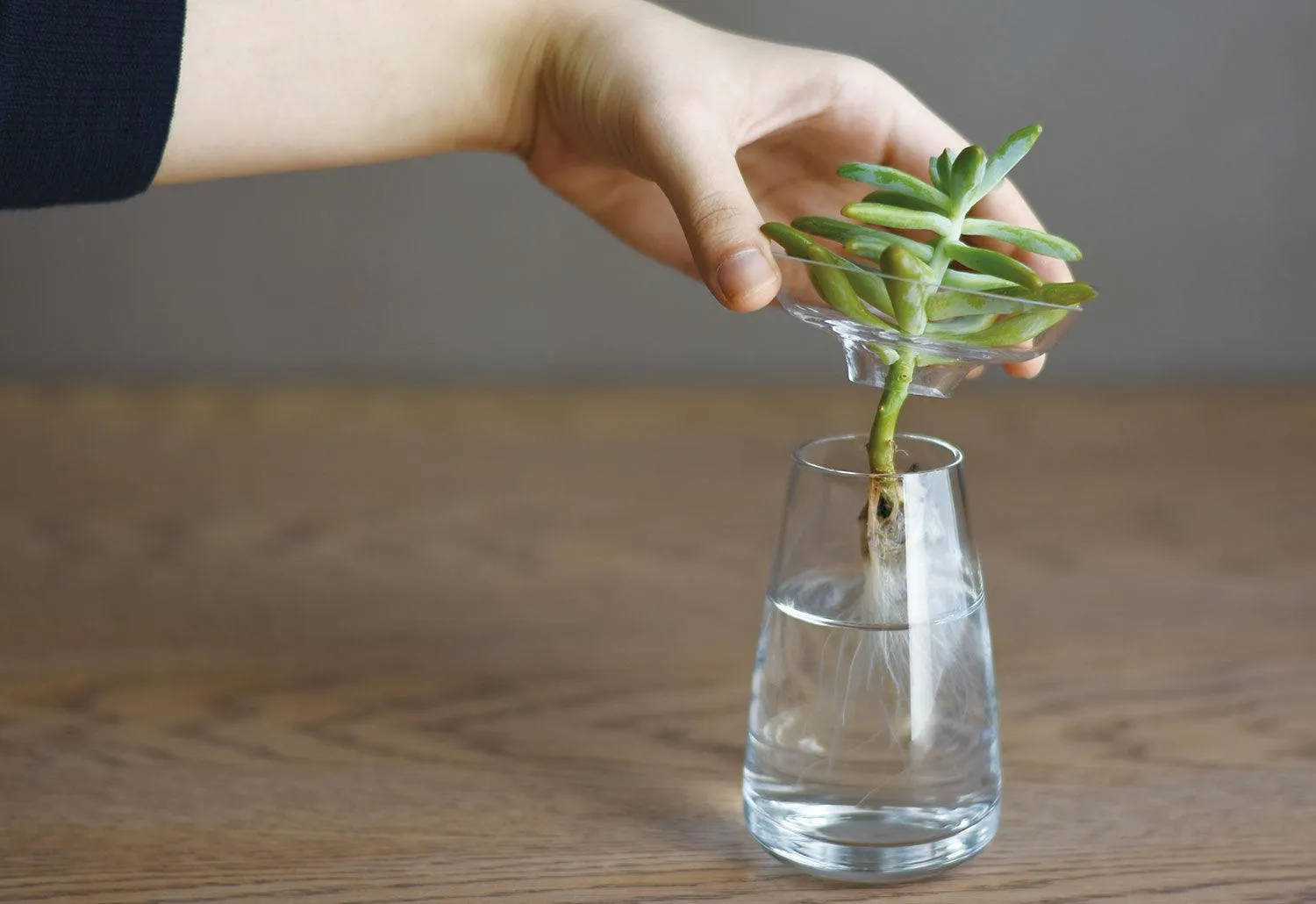 Aqua Culture Vase