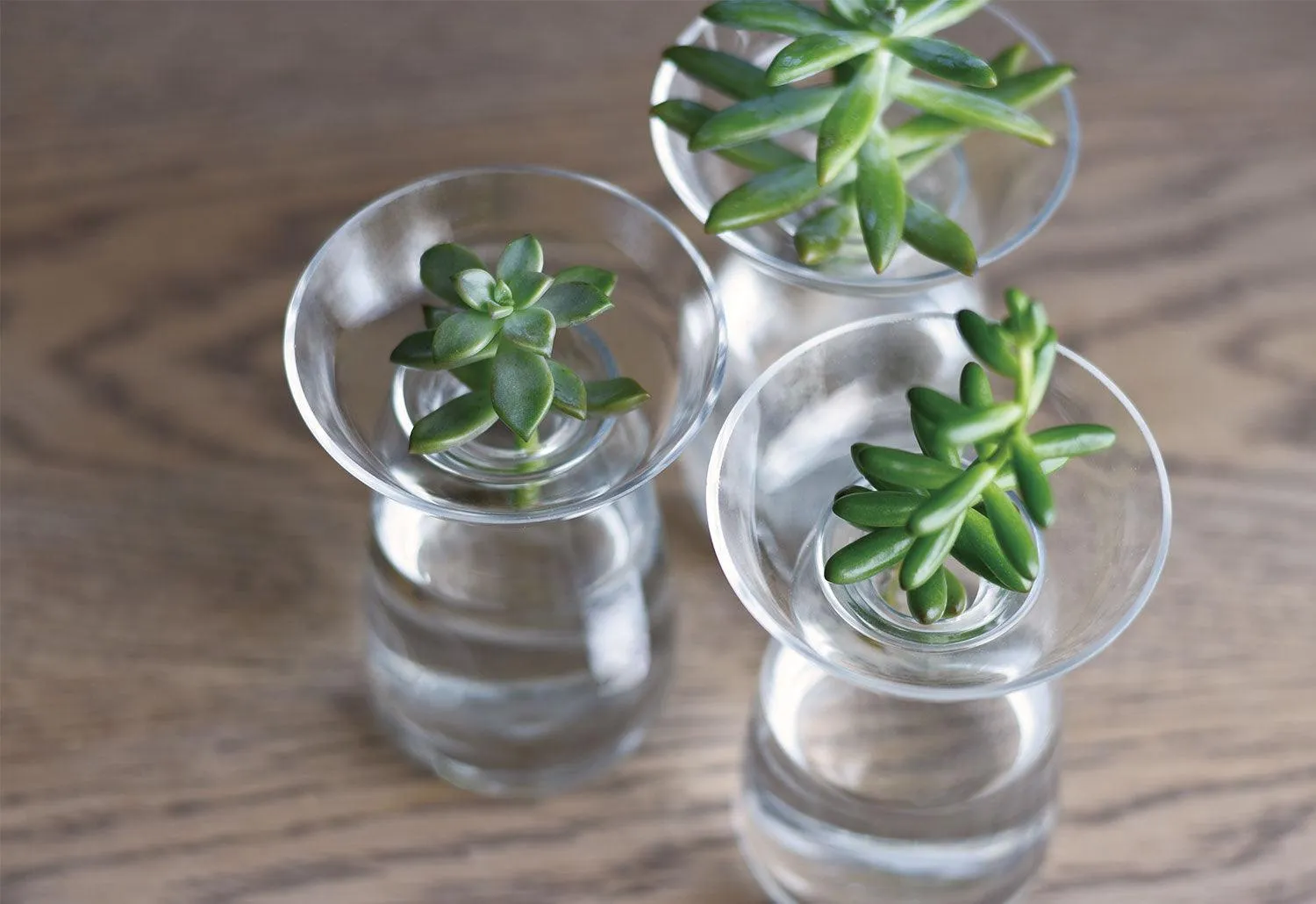 Aqua Culture Vase