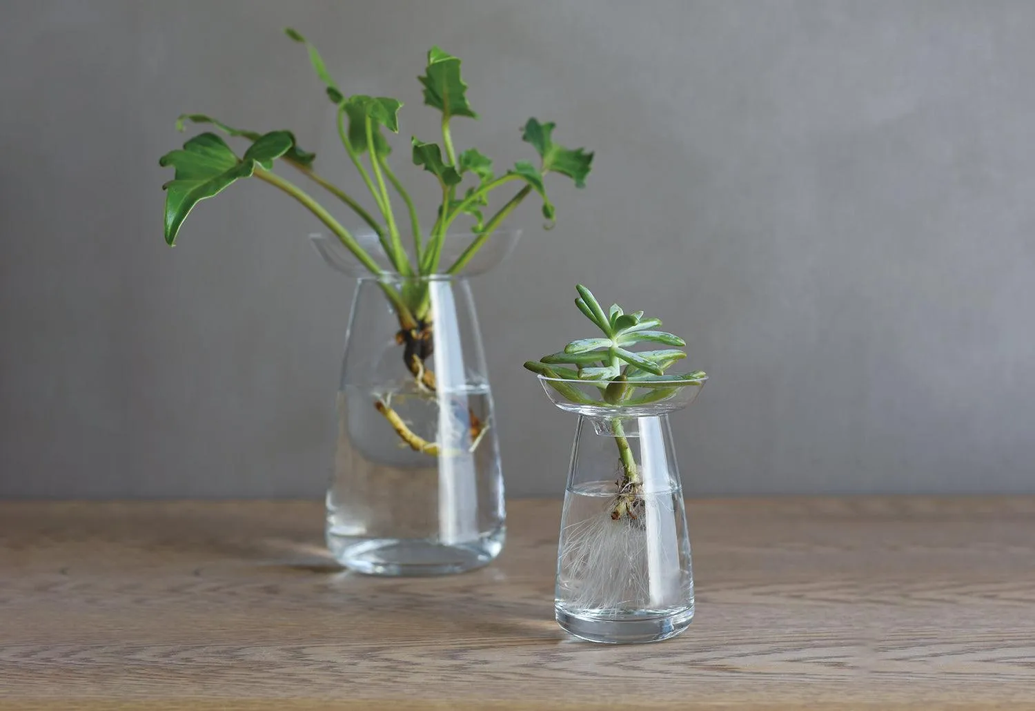 Aqua Culture Vase