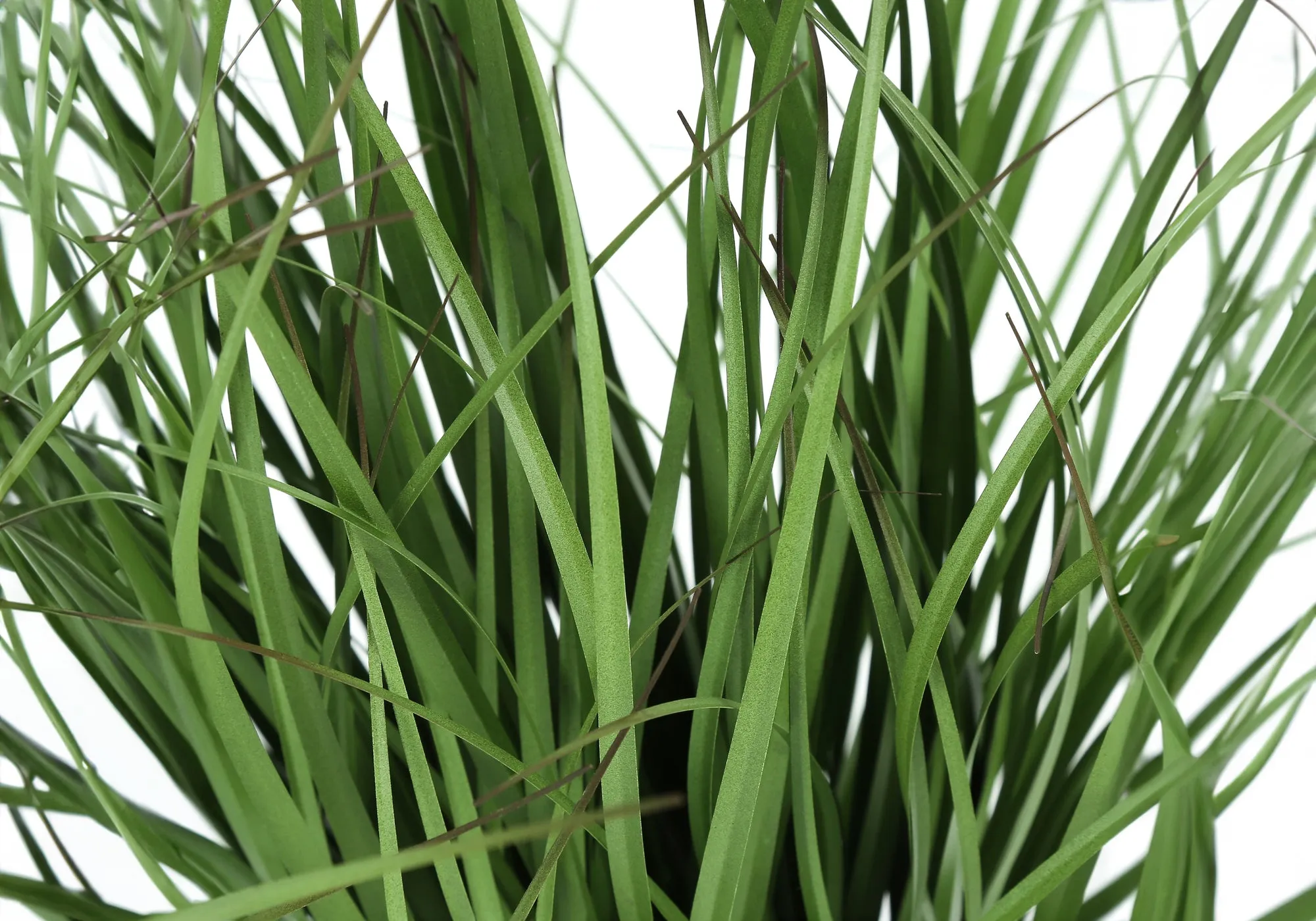 Artificial Plant, 23" Tall, Grass, Indoor, Faux, Fake, Table, Greenery, Potted, Real Touch, Decorative, Green Grass, Black Pot
