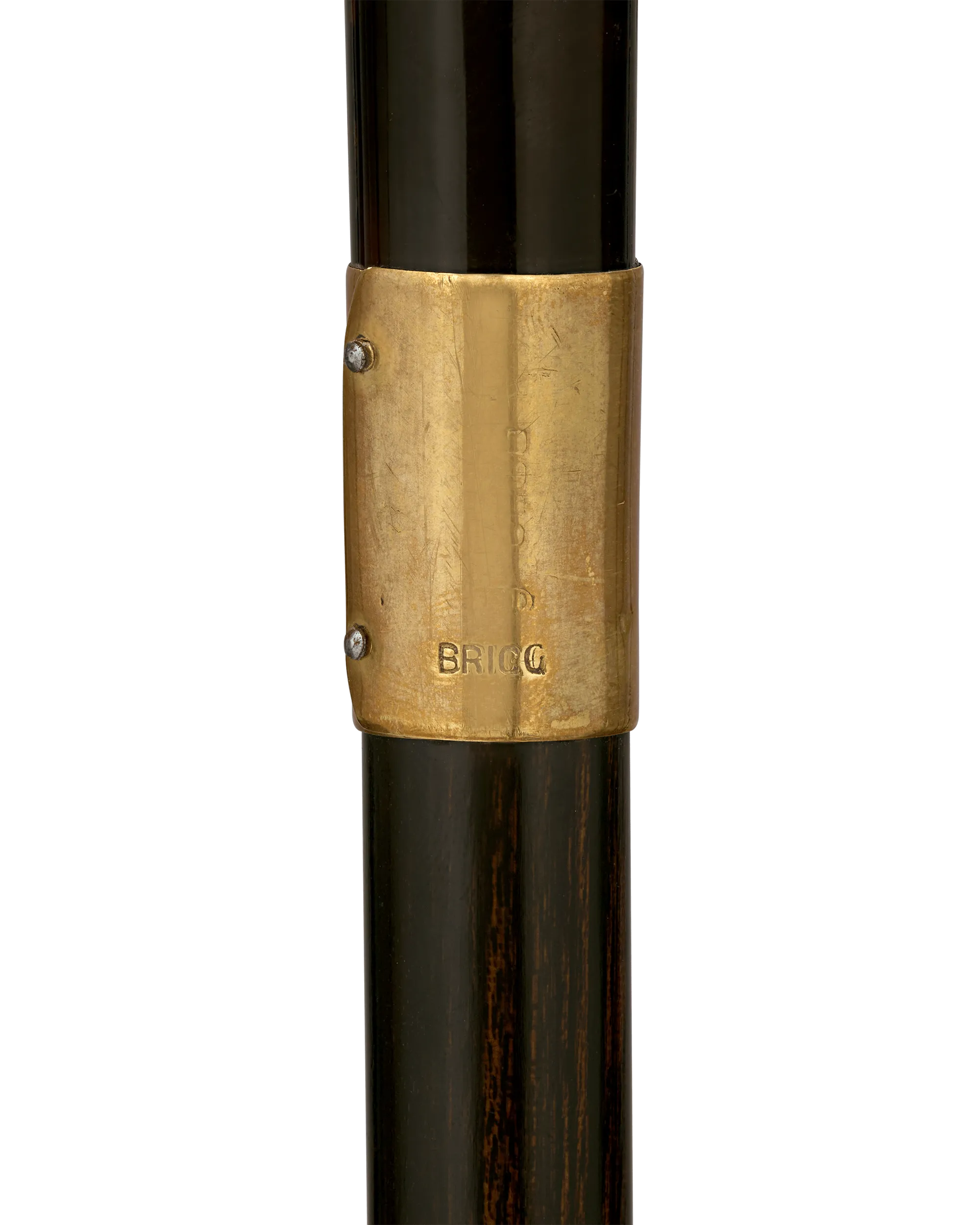 Carved Tortoiseshell Cane