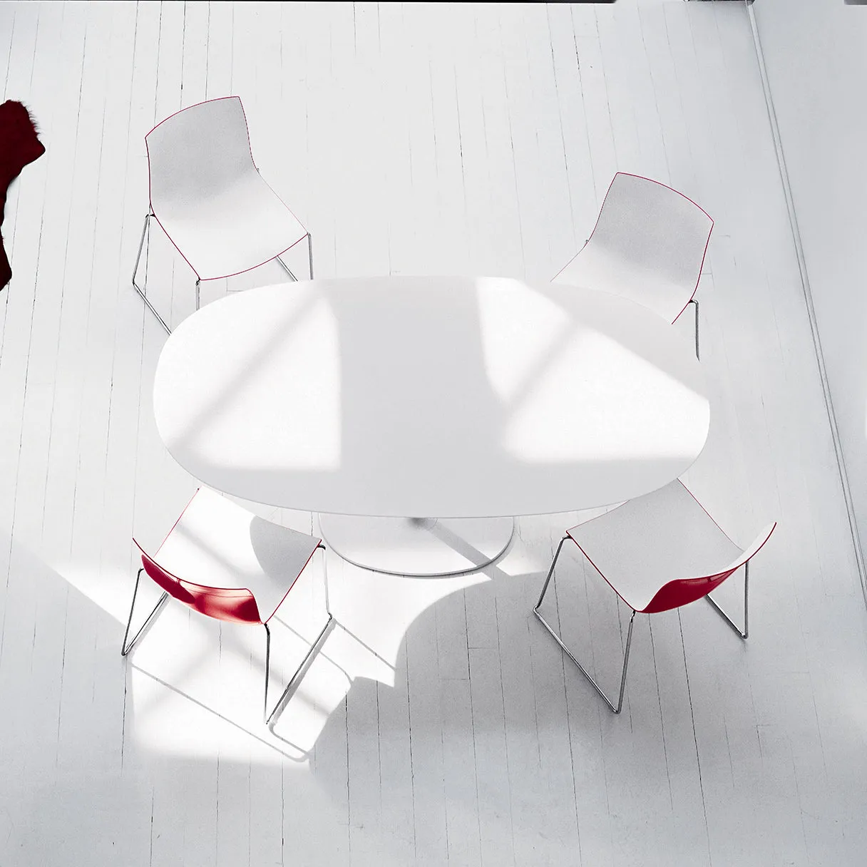 Catifa 46 Dual Color Dining Chair with Sled Base