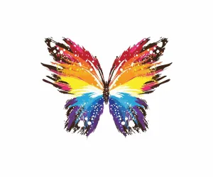 Decoration Designs Butterfly Abstract Wall Sticker Door,Window, Design Decal Standar(Cover Area:-76x69cm)