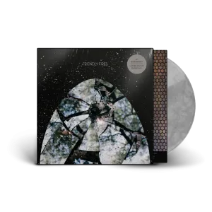 Friendly Fires / Friendly Fires: 15th Anniversary Edition LP Silver Vinyl