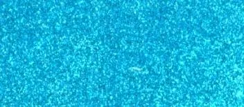 Glitter Ritz Micro Fine Glitter