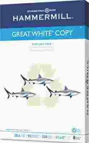 Great White Recycled Copy Paper 92 Brightness 20Lb 11 X 17 500 Sheets/Ream