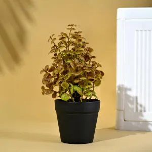 Homestic Artificial Plant|Plants Pot for Home|Decoration Artificial Flowers Pot|Natural Looking Plants|Artificial Flowers for Decoration|Plants for Office Desk|Grass Ball|Multicolor