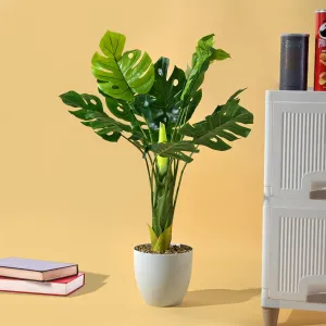 Kuber Industries Artificial Plant | Plants for Office Décor | Decoration Artificial Flowers Pot | | Artificial Flowers for Decoration | Natural Looking Plants | Multicolor