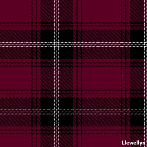 Llewellyn (Welsh Rare)
