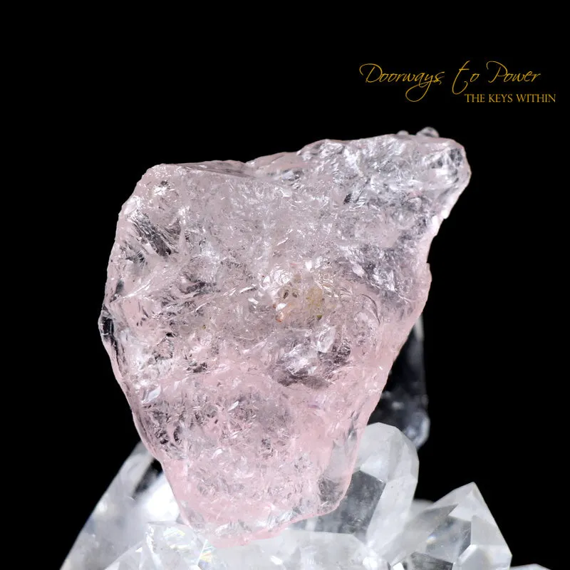 Morganite Dragon Crystal Carving Hand Carved