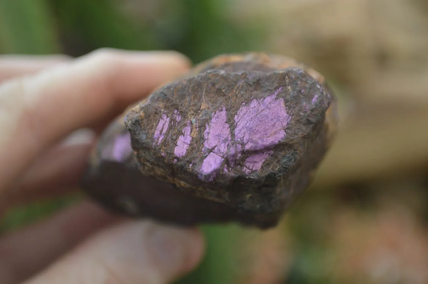 Natural Metallic Purpurite Cobbed Specimens x 6 From Namibia