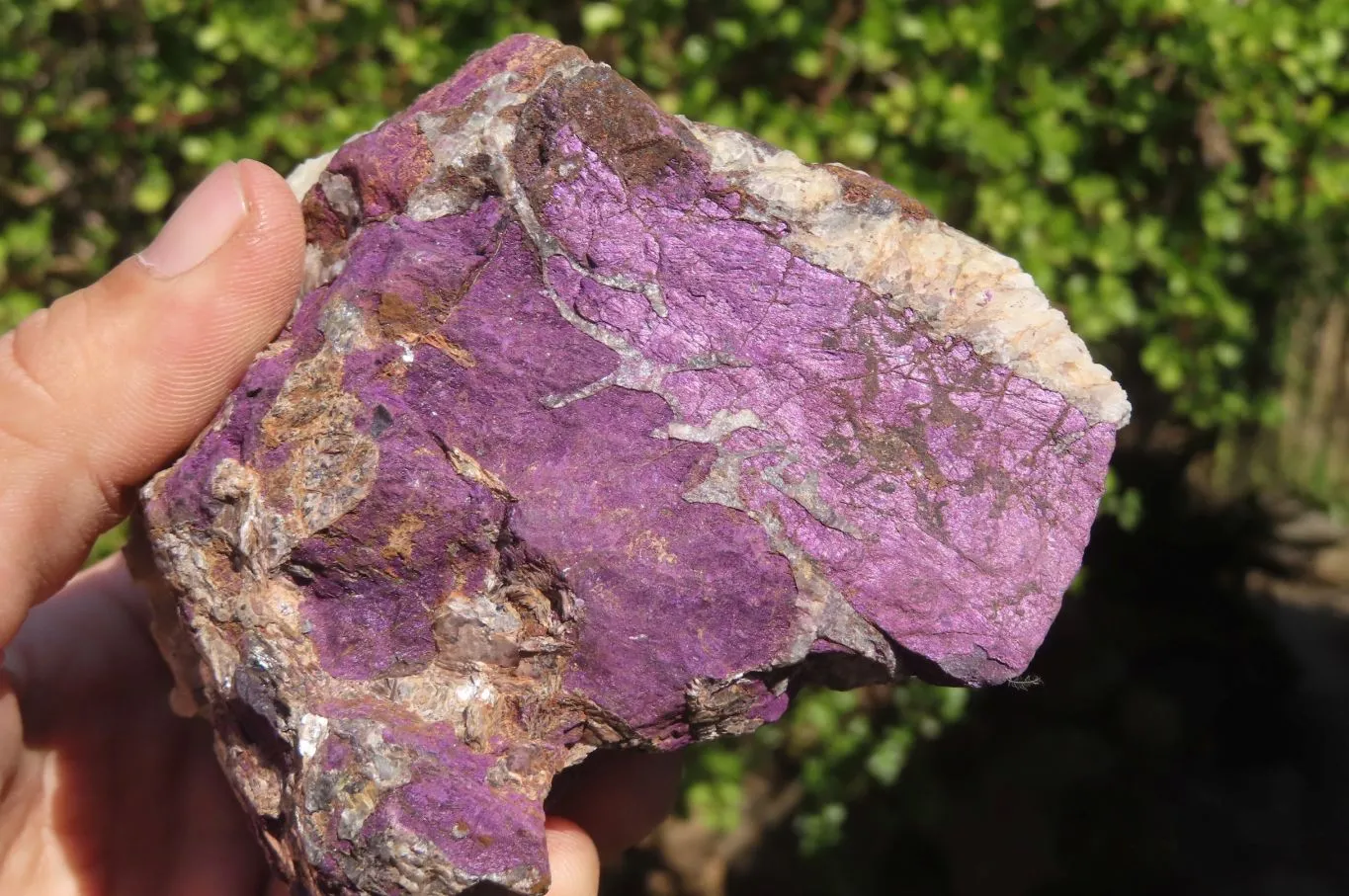 Natural Purpurite Specimens x 3 From Erongo, Namibia