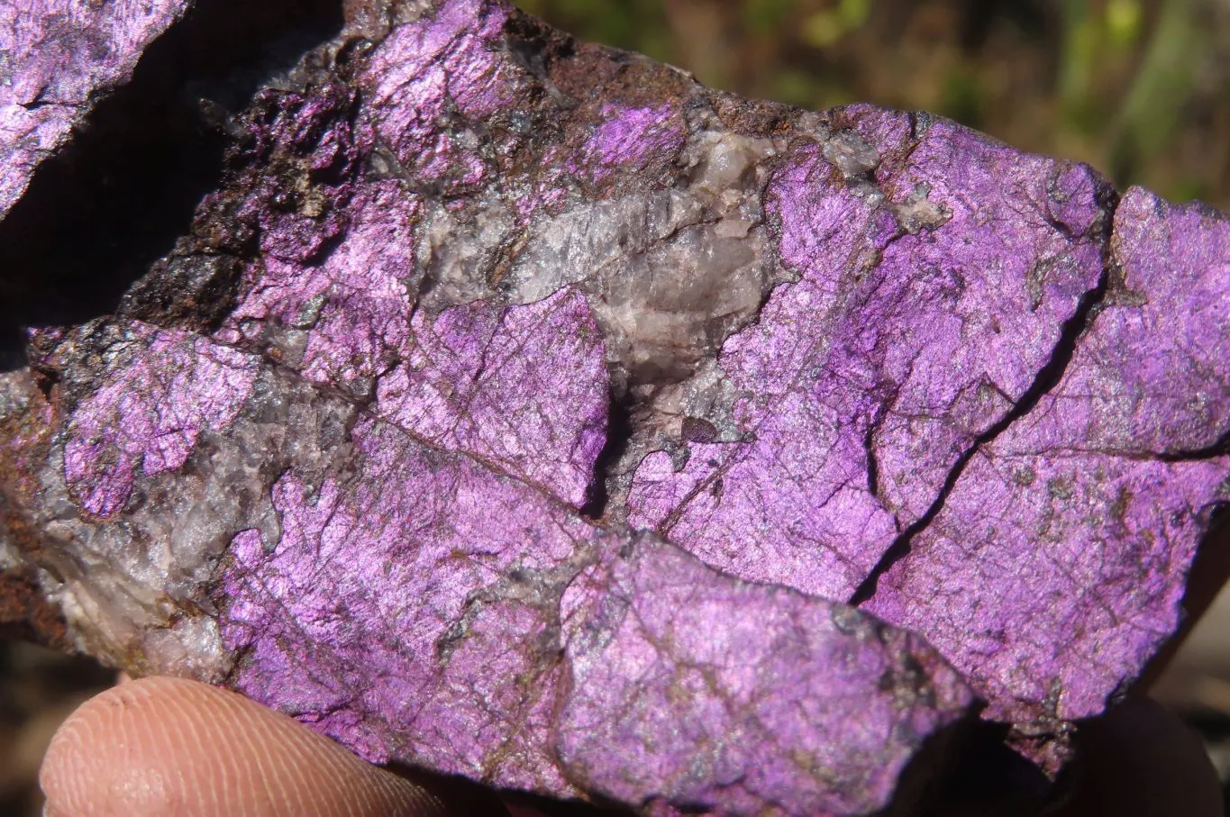 Natural Purpurite Specimens x 3 From Erongo, Namibia
