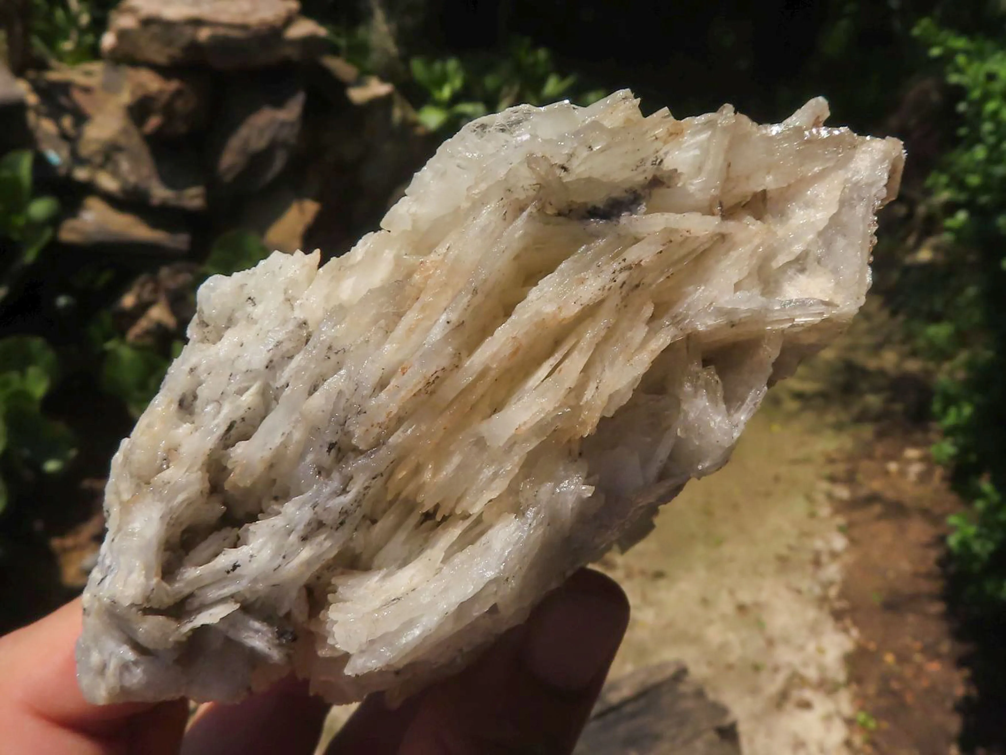 Natural Rare Bladed Barite Specimens x 4 From Tenke Fungurume, Congo