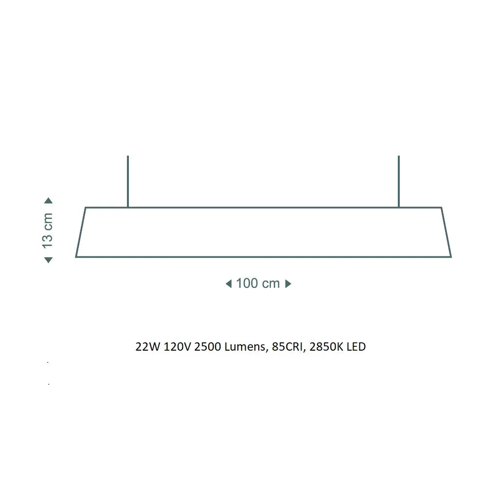 Owalo Linear Pendant Light