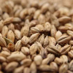 Pale Ale Malt - Weyermann