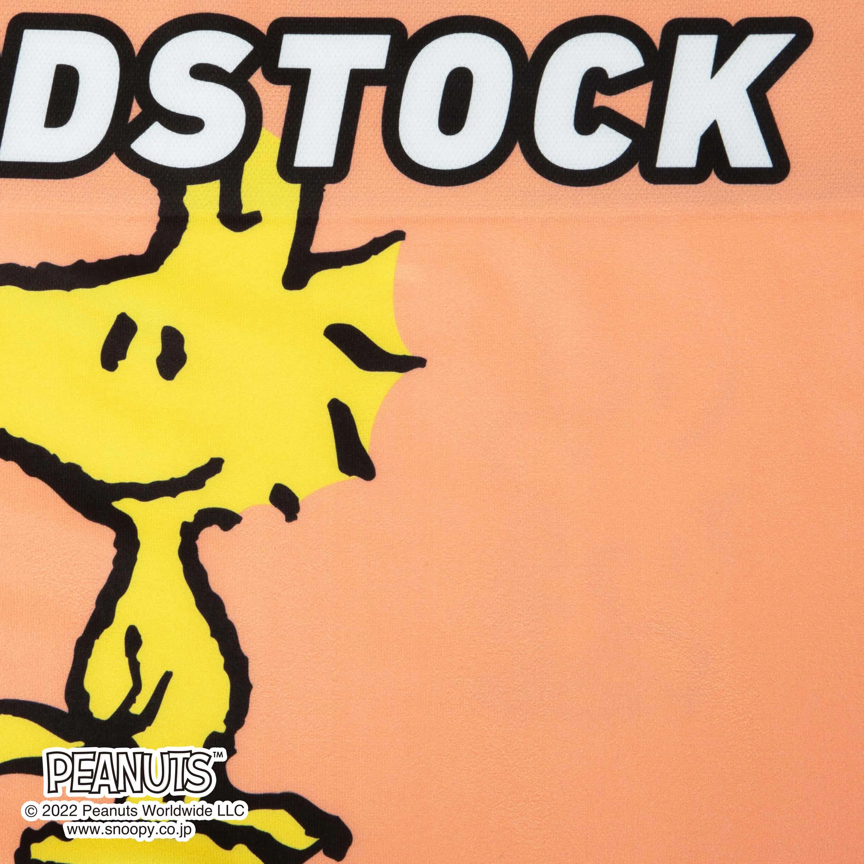 ＜PEANUTS＞WOODSTOCK/ウッドストック　アンダーパンツ　メンズ　ポリエステルタイプ