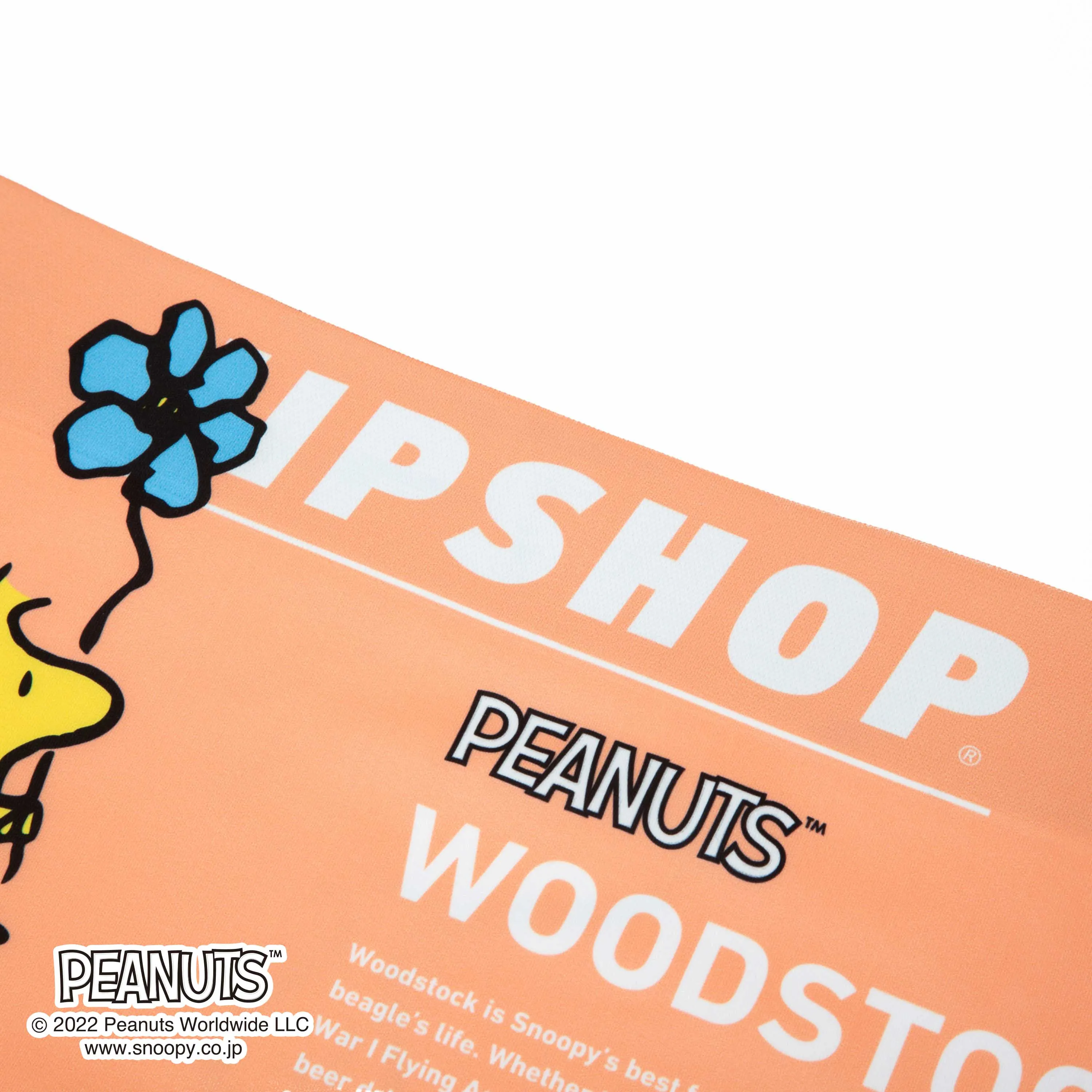 ＜PEANUTS＞WOODSTOCK/ウッドストック　アンダーパンツ　メンズ　ポリエステルタイプ