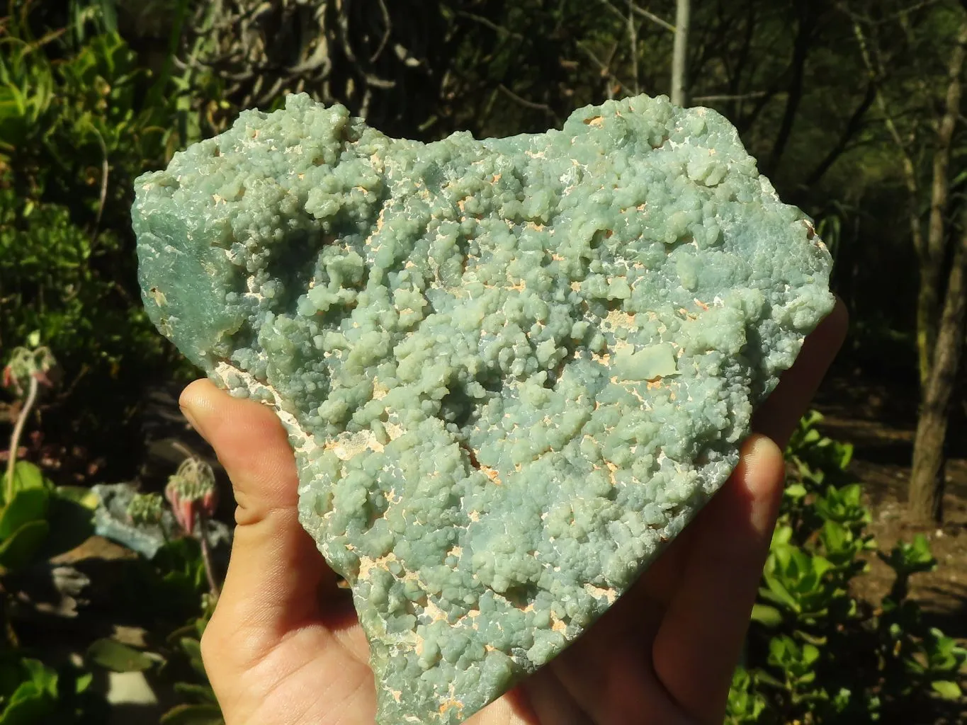 Polished One Side Polished Mtorolite / Emerald Chrysoprase Plates x 2 From Zimbabwe