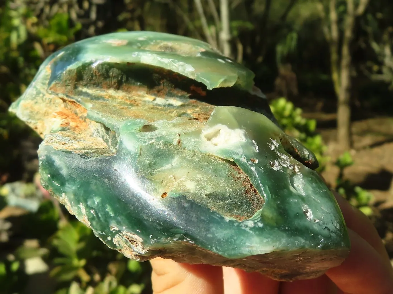 Polished One Side Polished Mtorolite / Emerald Chrysoprase Plates x 2 From Zimbabwe