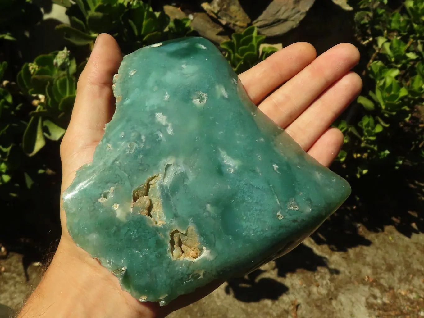 Polished One Side Polished Mtorolite / Emerald Chrysoprase Plates x 2 From Zimbabwe