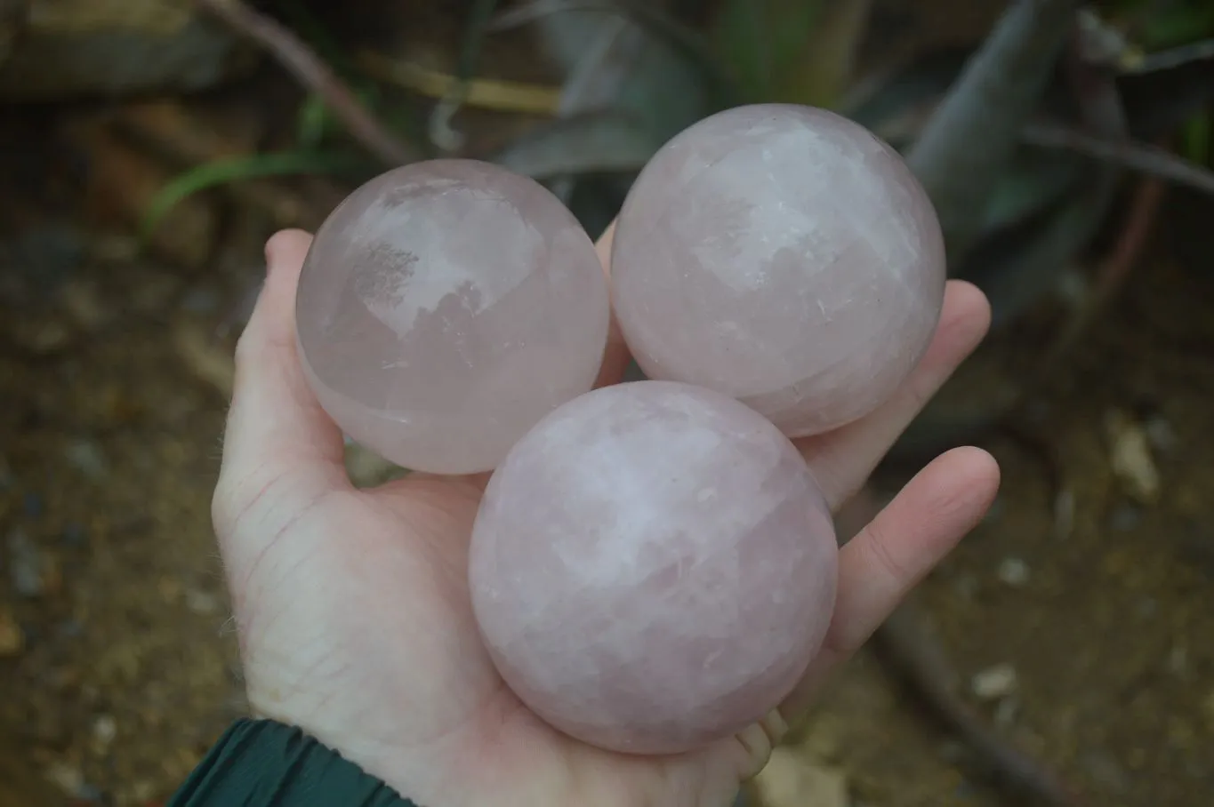 Polished Star Rose Quartz Sphere-Balls x 4 From Madagascar