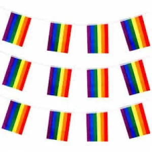 Rainbow Paper Bunting
