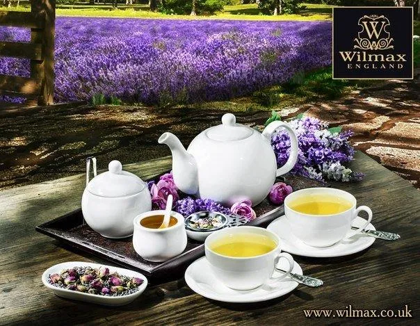 Set Of 6 White Tea Cup 8 Oz | 250 Ml