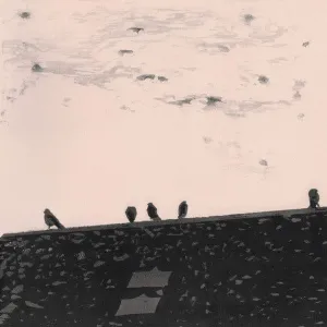 stuart A. staples - Arrhythmia (LP, Album)