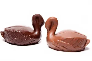 Swan