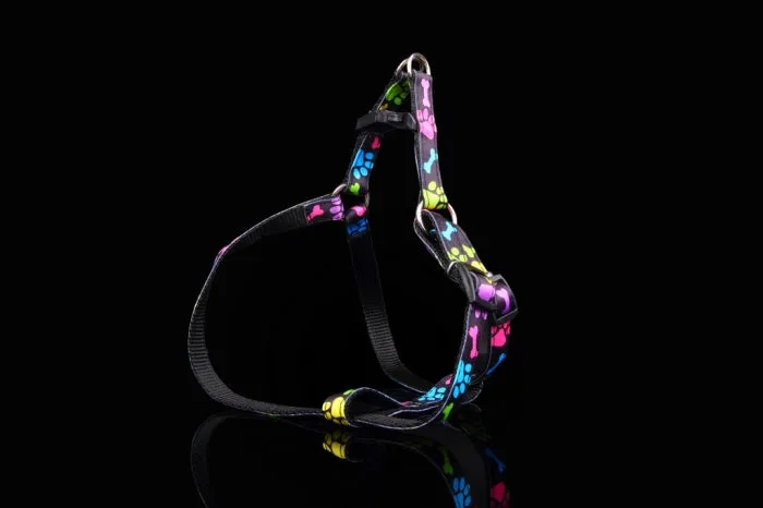 ZOOLeszcz Friendly Dog Harness